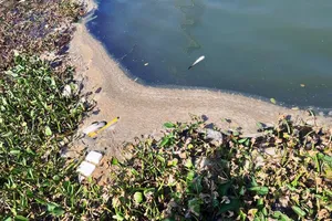 Nước thải đem ngòm kèm váng dầu tuồn ra sông Hàn