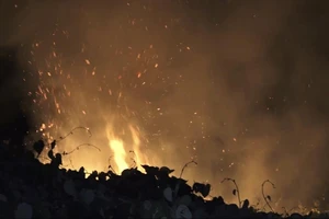 Hơn trăm cảnh sát chữa cháy rừng ở bán đảo Sơn Trà 