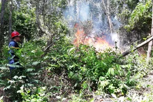 Hàng trăm người chữa cháy rừng ở Đà Nẵng