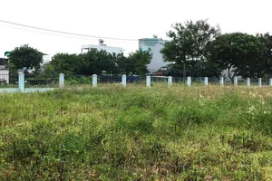 Đăng tin giả về giá đất trên Facebook cô gái bị phạt 10 triệu 