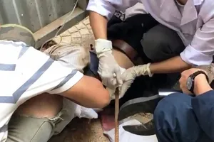 Người đàn ông bị thanh sắt rơi từ trên cao đâm xuyên bụng