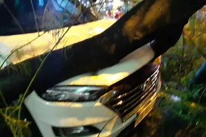 Cây phượng bật gốc đè trúng ô tô và xe máy ở Đà Nẵng