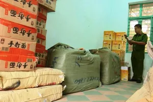 Đà Nẵng: Bắt 10 tấn hàng Trung Quốc nhập lậu trên tàu SE19 