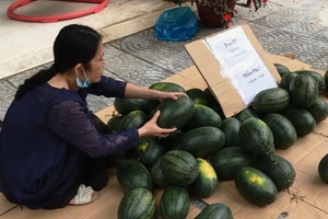 Người phụ nữ mua 1 tấn dưa hấu tặng miễn phí ở Đà Nẵng