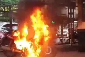 Nghi trộm cá, chủ lồng bè đốt rụi 2 xe máy của cặp vợ chồng