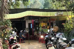 Một người ở Quảng Nam bị ong chích tử vong