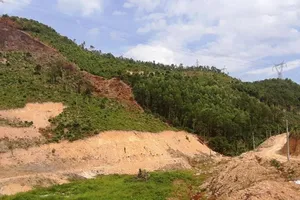 Đà Nẵng: Tử vong vì ong chích