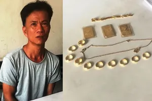Trộm nhiều vàng trị giá 270 triệu đồng rồi mang đi chôn