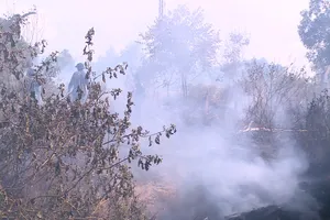 Cháy hơn 5 ha rừng trồng sát sân bay Đà Nẵng