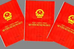 Khởi tố vụ chuyên viên đưa 22 sổ hồng của dân cho bạn 