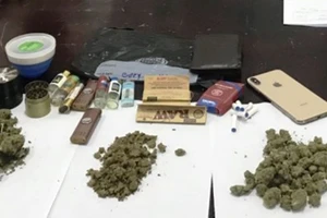 Cô gái Nam Phi và bạn trai phê ma túy trong homestay ở Đà Nẵng