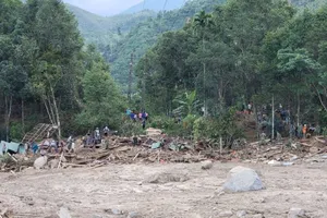 Chùm ảnh: Tập trung tìm nạn nhân sống sót vụ sạt lở