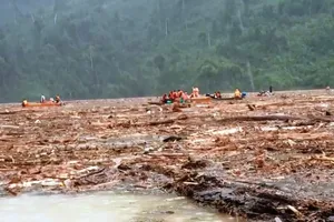 Quảng Nam: Xác gỗ ken kín mặt nước ở lòng hồ thủy điện