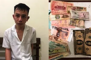 Thuê homestay ở ghép với người nước ngoài để trộm 