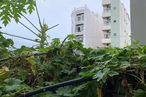 Thiếu niên rơi từ lầu 4 tại 1 chung cư ở Đà Nẵng tử vong 