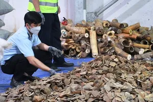 Khai báo hải quan là hạt điều, kiểm tra container mới tá hỏa