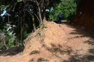 Đà Nẵng: Xâm phạm rừng trái phép bị phạt 50 triệu đồng