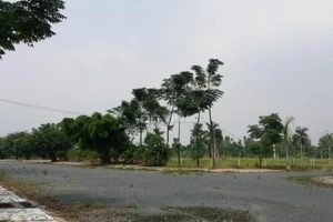 Thanh tra toàn diện Dự án khu dân cư Phi Long 5