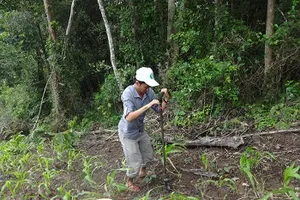 TP.HCM ban hành đơn giá quan trắc và phân tích đất