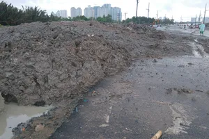 Dự án của Công ty Đại Quang Minh bị đổ trộm chất thải