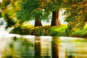 Tận hưởng công viên xanh ngút ngàn tại Jamona Heights