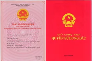 Sổ đỏ, sổ hồng khác nhau thế nào?