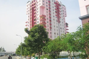 Nhà nước nên đầu tư nhà ở trung bình - thấp