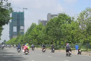 “Nhộn nhịp” thị trường chung cư vùng ven 