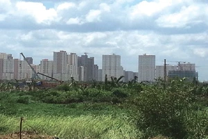 Khu đô thị mới Thủ Thiêm: Đại gia giành đất vàng quá dễ!