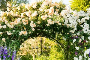 Lối vào nhà vườn thơ mộng với cổng hoa