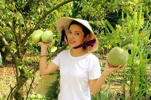 Biệt thự nhà vườn ngập hoa quả của diễn viên Việt Trinh