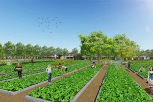 Dự án đầu tiên ở Sài Gòn có vườn rau sạch