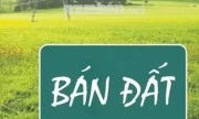 Bốn loại đất không được phép chuyển nhượng