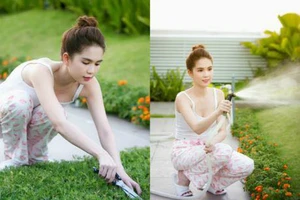 Vườn rau sạch trong ngôi nhà triệu đô của sao Việt