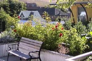 Biến sân vườn thành ốc đảo xanh mát nhờ vài mẹo nhỏ