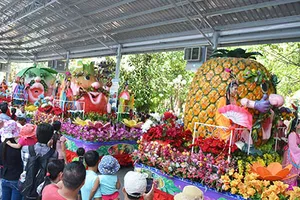 'Lễ hội Trái cây Nam Bộ 2016': Phong phú, đa dạng đủ loại trái cây