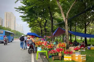 Nhộn nhịp hoa tươi trước ngày Phụ nữ Việt Nam