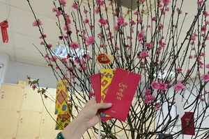 Tục lệ lì xì, nên bỏ hay giữ?