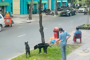 Yêu cầu thống kê số hộ nuôi chó, mèo ở khu dân cư 