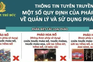 Pháo hoa, pháo hoa nổ và pháo nổ, loại nào được phép sử dụng? 