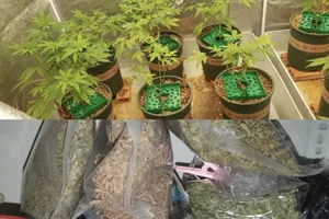 Tạm dừng phiên tòa do lời khai của bị cáo khác với cáo trạng