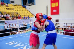 Cơ chế bảo hộ công dân Việt Nam nhìn từ vụ ông Lưu Tú Bảo