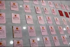 Từ vụ tạm giữ 80 sổ hồng liên quan Ngân 98: Mỗi người có thể đứng tên tối đa bao nhiêu sổ hồng?