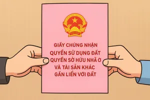 Đang bị tạm giam có được ký sang tên sổ hồng?