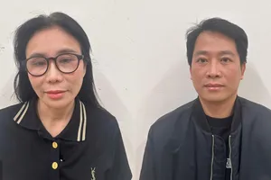 Vợ chồng chủ thẩm mỹ viện Mailisa phải đối mặt với hình phạt nào?