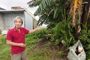 Vụ trúng đấu giá lô đất ảo: Không thể để người dân gánh hậu quả từ sai sót của chính quyền