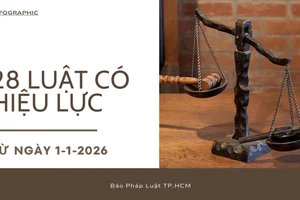 Infographic: Từ 1-1-2026, 28 luật chính thức đi vào cuộc sống