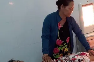 Gãy lưỡi máy cắt cỏ làm đứt lìa 2 bàn chân 