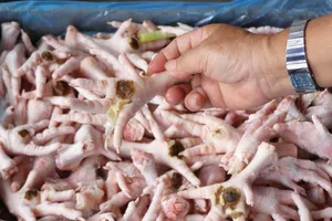 Chân gà Ba Lan liệu có tràn ra... quán nhậu?