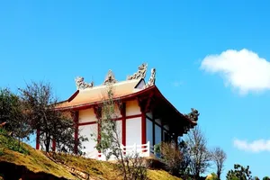 Đại đức từng là Bộ đội Cụ Hồ trồng 100 cây bàng vuông ở chùa 